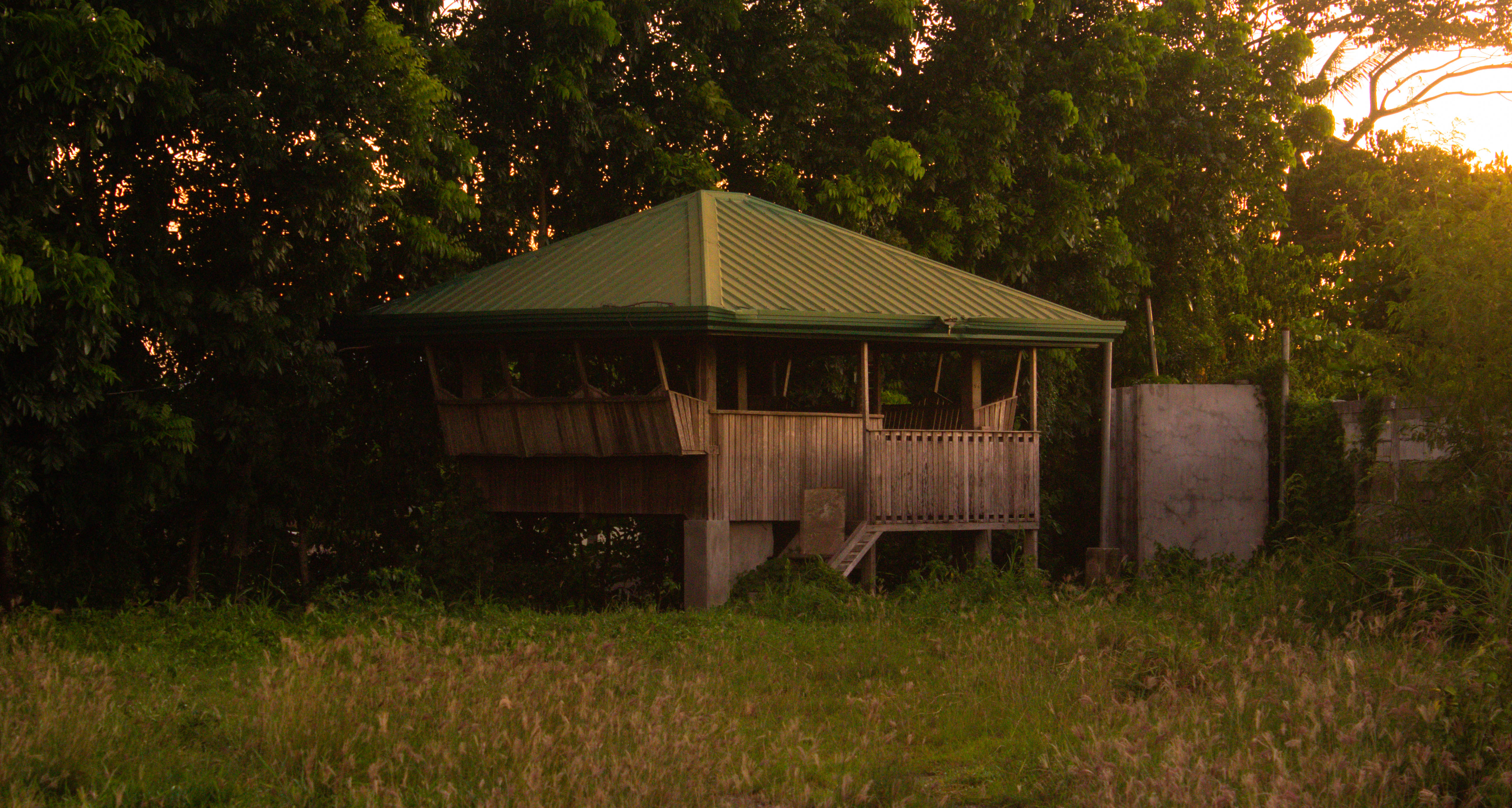 Photography 6